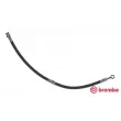 BREMBO T 30 019 - Flexible de frein