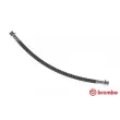BREMBO T 30 026 - Flexible de frein