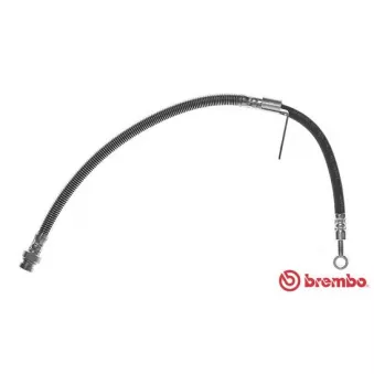 BREMBO T 30 051 - Flexible de frein