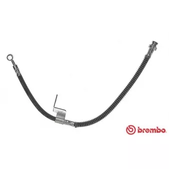 BREMBO T 30 055 - Flexible de frein
