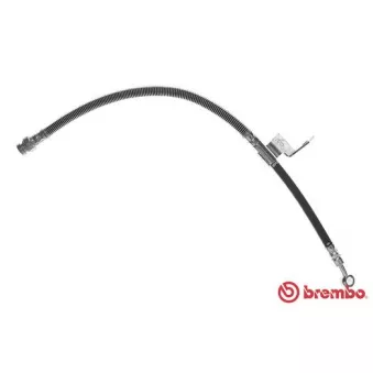 Flexible de frein BREMBO OEM 5873217000