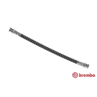 Flexible de frein BREMBO OEM 587371C000