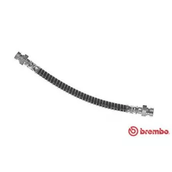 BREMBO T 30 065 - Flexible de frein