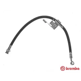 Flexible de frein BREMBO OEM 587371C800