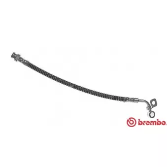 BREMBO T 30 070 - Flexible de frein