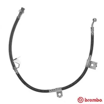 BREMBO T 30 080 - Flexible de frein