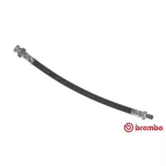 BREMBO T 30 081 - Flexible de frein