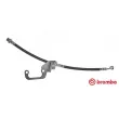 Flexible de frein BREMBO [T 30 085]