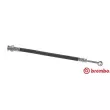 BREMBO T 30 089 - Flexible de frein