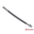 Flexible de frein BREMBO [T 30 093]