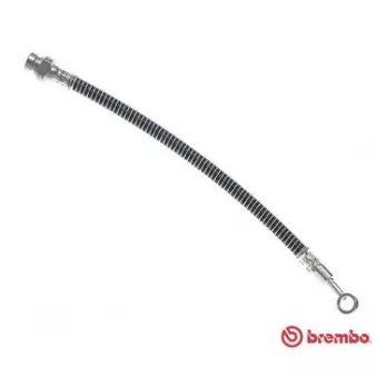 Flexible de frein BREMBO OEM 587310X000
