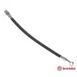 BREMBO T 30 108 - Flexible de frein