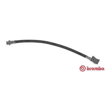 BREMBO T 37 001 - Flexible de frein