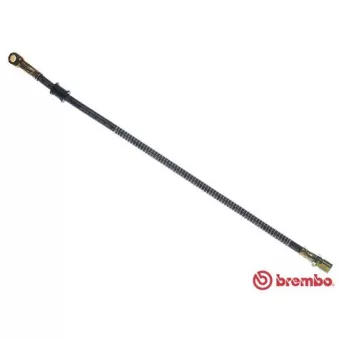 Flexible de frein BREMBO OEM 21213506060