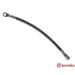 BREMBO T 41 005 - Flexible de frein
