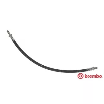 BREMBO T 44 015 - Flexible de frein