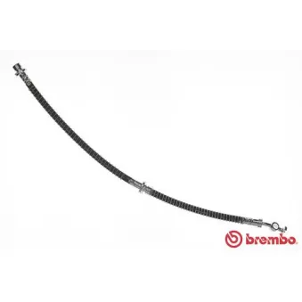 Flexible de frein BREMBO OEM SHB101180