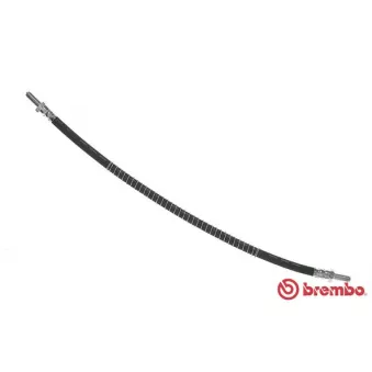 BREMBO T 44 025 - Flexible de frein