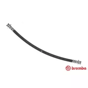 BREMBO T 49 002 - Flexible de frein