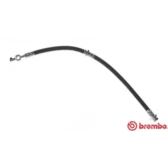 BREMBO T 49 003 - Flexible de frein