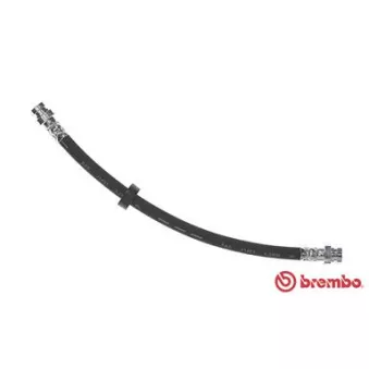 BREMBO T 49 008 - Flexible de frein