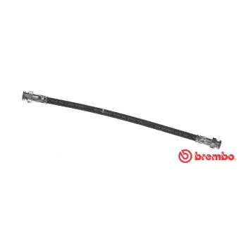 Flexible de frein BREMBO OEM BC1D43810