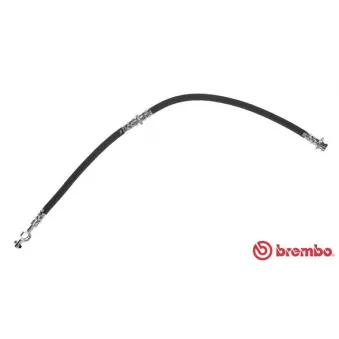 BREMBO T 49 016 - Flexible de frein