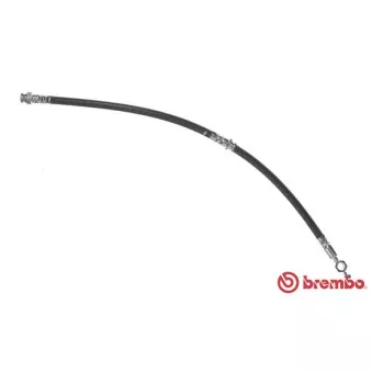 BREMBO T 49 018 - Flexible de frein