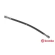 Flexible de frein BREMBO [T 49 036]