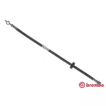 BREMBO T 49 047 - Flexible de frein