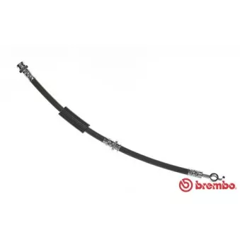 Flexible de frein BREMBO OEM B25D43980