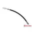 BREMBO T 49 053 - Flexible de frein