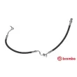 BREMBO T 49 057 - Flexible de frein