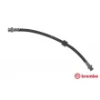 Flexible de frein BREMBO [T 49 063]