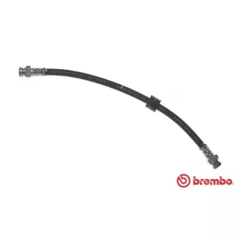 BREMBO T 49 063 - Flexible de frein