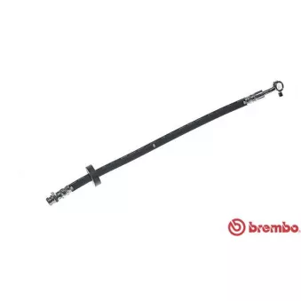 BREMBO T 49 066 - Flexible de frein