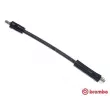 Flexible de frein BREMBO [T 50 009]