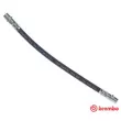 BREMBO T 50 013 - Flexible de frein