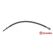 BREMBO T 50 032 - Flexible de frein