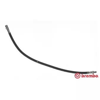 Flexible de frein BREMBO T 50 033 pour MERCEDES-BENZ VITO 112 CDI 2.2 - 122cv
