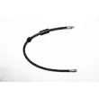 BREMBO T 50 040 - Flexible de frein