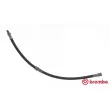 BREMBO T 50 048 - Flexible de frein
