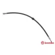 BREMBO T 50 061 - Flexible de frein