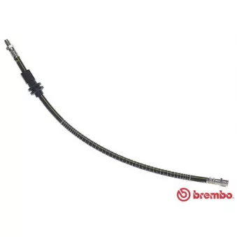 BREMBO T 50 066 - Flexible de frein