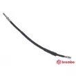 BREMBO T 50 072 - Flexible de frein
