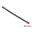 Flexible de frein BREMBO [T 52 003]