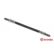 BREMBO T 52 004 - Flexible de frein