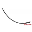 BREMBO T 52 024 - Flexible de frein