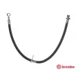 Flexible de frein BREMBO [T 52 027]