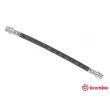 BREMBO T 54 002 - Flexible de frein